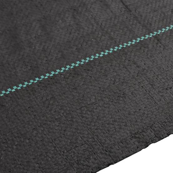 Vidaxl - Membrane anti-mauvaises herbes noir 1x150 m PP vidaXL 4005148 - Image 6