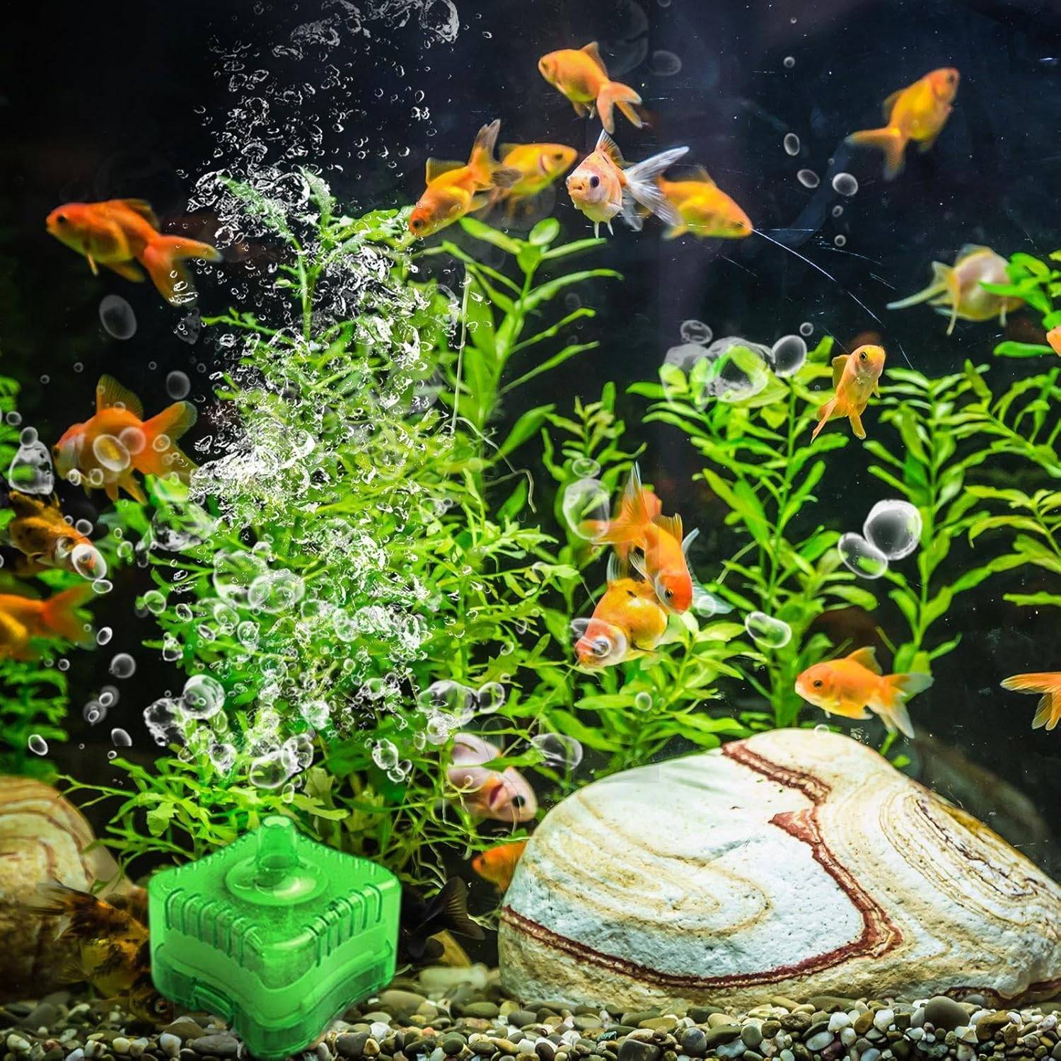 DtopbuyAge - Filtration Éponge Multifonction pour Nano Aquarium DtopbuyAge - Image 2