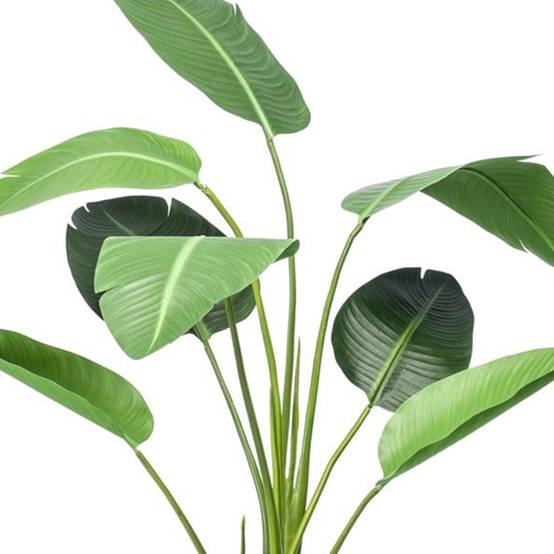 Strelitzia Artificielle 120cm Pot Noir Plante Déco Intérieur Salon Bureau Réaliste - ComfortXL Green Living - Image 2