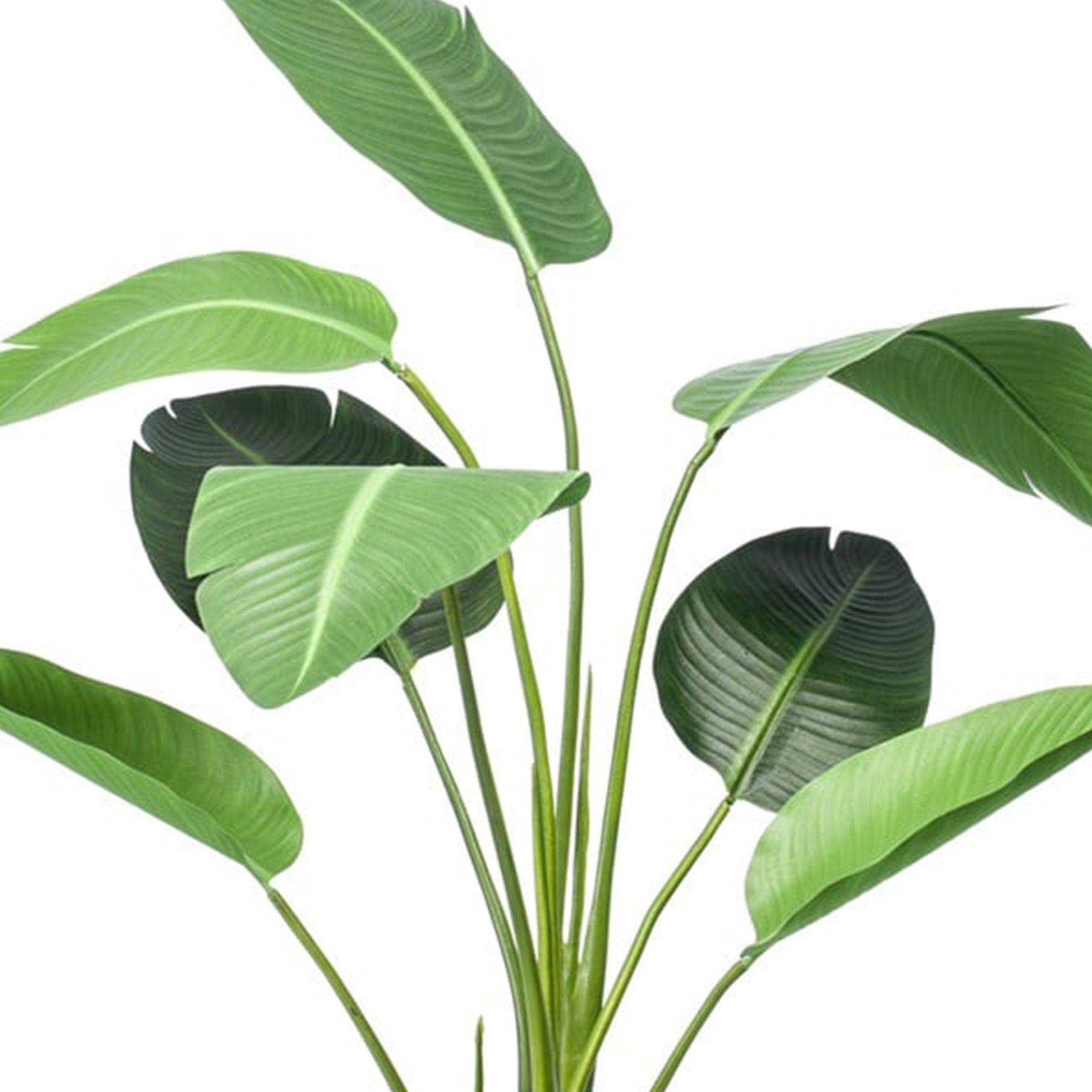 Strelitzia Artificielle 120cm Pot Noir Plante Déco Intérieur Salon Bureau Réaliste - ComfortXL Green Living - Image 2