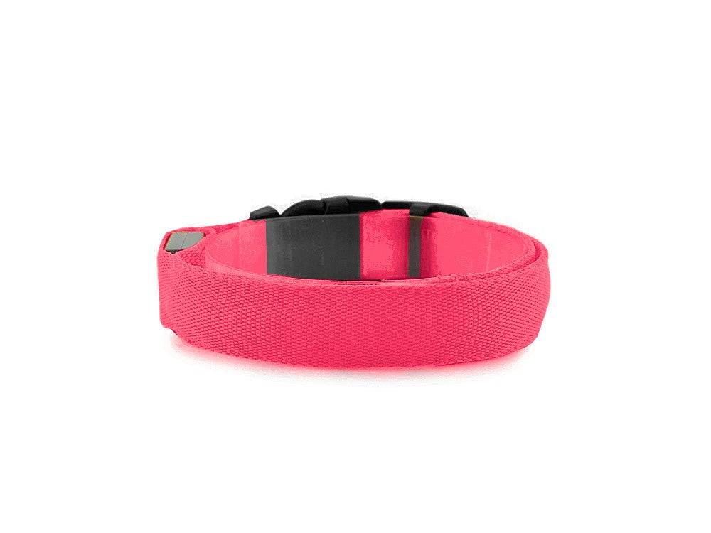 Collier d'éclairage led pour chiens et chats adjustable 59cm - Image 2