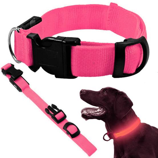Collier d'éclairage led pour chiens et chats adjustable 59cm - Image 1