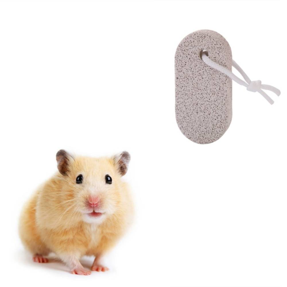 IntiMeg - Pierre dentaire pour petits animaux IntiMeg - Image 1