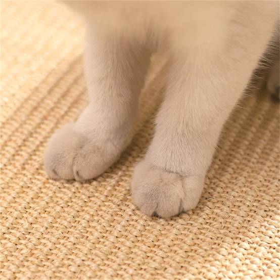 Tapis chauffant pour chat et chien, avec contrôle température et minuterie, 40x29 cm Lytech - Image 4