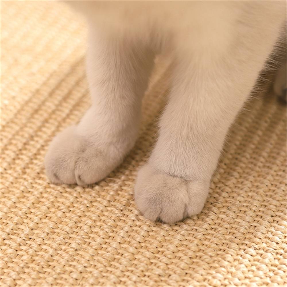 Tapis chauffant pour chat et chien, avec contrôle température et minuterie, 40x29 cm Lytech - Image 4