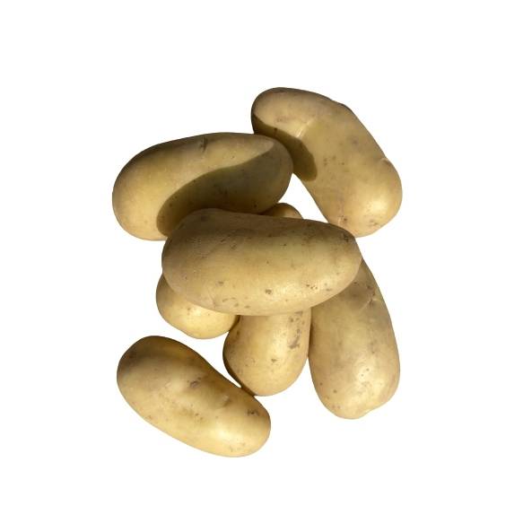 Pomme de terre Minette  Sac de 25 plants
