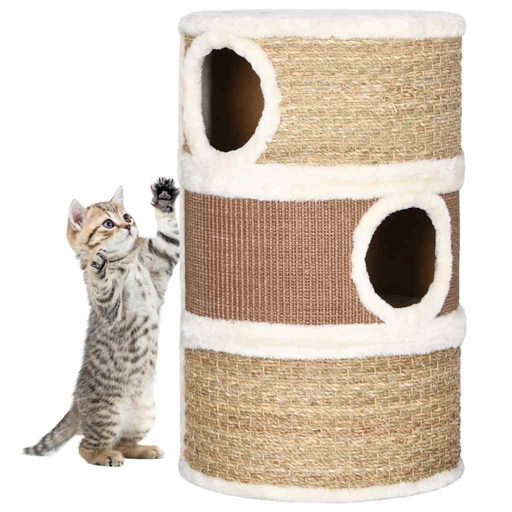 Tonneau à gratter pour chats herbiers marins marron 36 x 36 x 60 cm - PANGIVO - Image 1