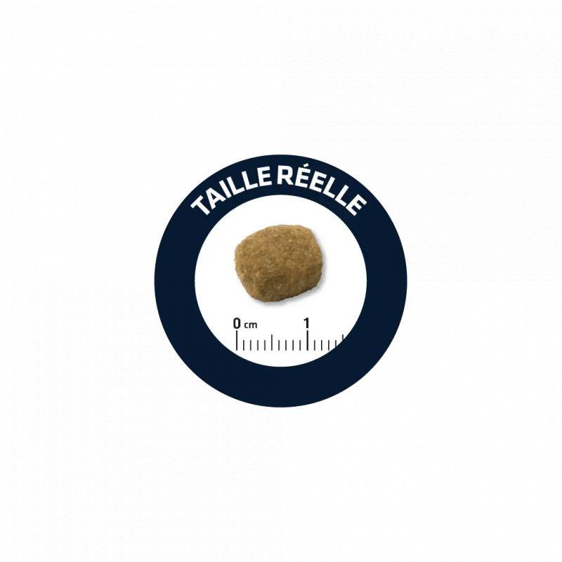 CROQUETTES CHIEN LIGHT MEDIUM - ADVANCE 3 kg - Image 2