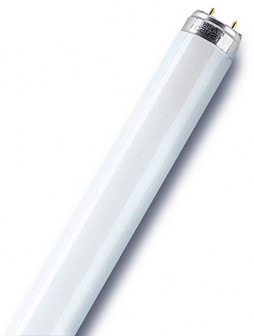 Osram - Tube fluorescent droit T8 opaque 950 Lm  70 W blanc, OSRAM OSRAM - Image 1