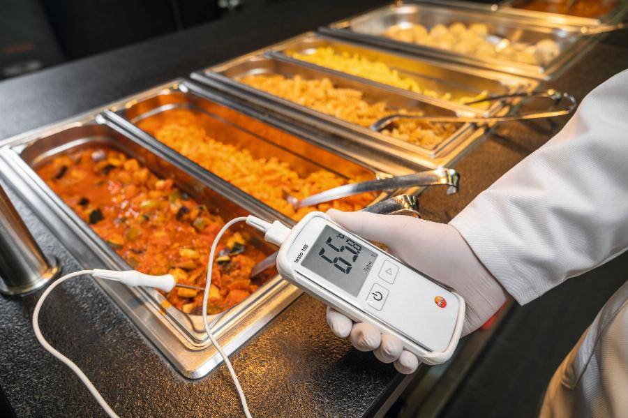 Thermomètre alimentaire 108 à sonde interchangeable TC type K/T - TESTO - 0563 1080 - Image 2