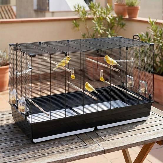 Ferplast - Ferplast Volière Cage à Oiseaux PIANO 8 Grande Cage pour Oiseaux, Canaris, Pinsons, Perruches Ondulées, Inséparables, en Métal, Accessoires inclus - Image 3