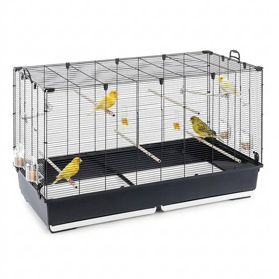 Ferplast - Ferplast Volière Cage à Oiseaux PIANO 8 Grande Cage pour Oiseaux, Canaris, Pinsons, Perruches Ondulées, Inséparables, en Métal, Accessoires inclus - Image 4