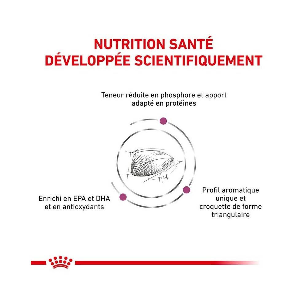 Royal Canin - Croquettes chat VETERINARY CAT RENAL SPECIAL - Royal Canin 4 kg - Image 8