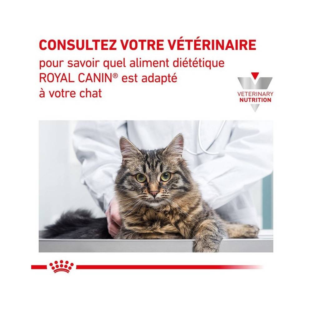 Royal Canin - Croquettes chat VETERINARY CAT RENAL SPECIAL - Royal Canin 4 kg