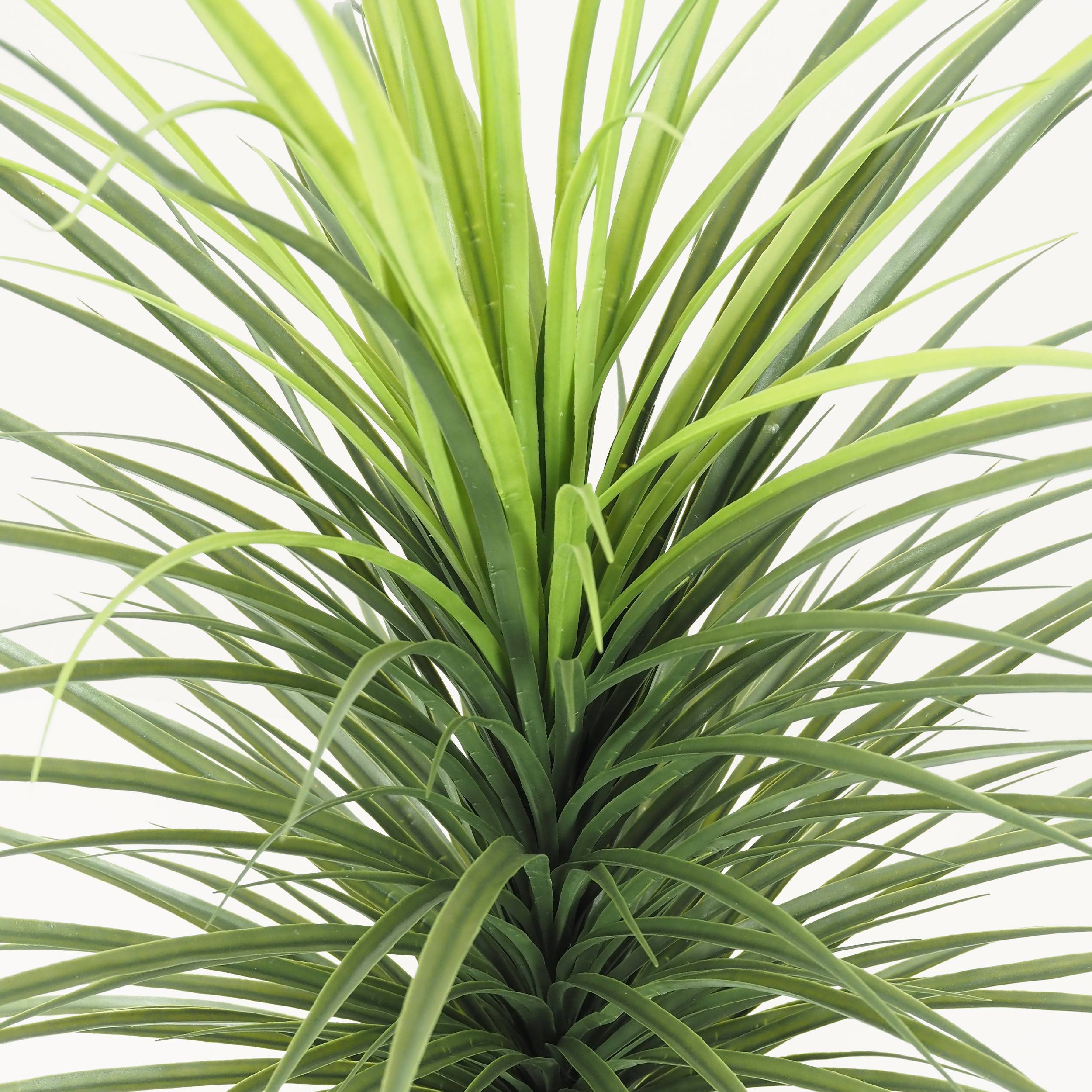 Ligne Deco - Dracena artificiel 120cm - Image 5