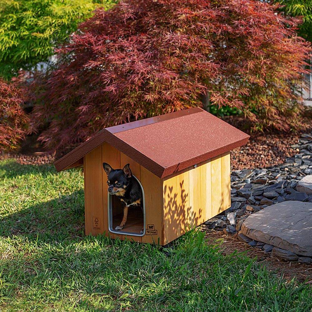Ferplast - Ferplast Niche pour chiens pour l'extérieur DOMUS MINI, en bois FSC, Pieds isolants en plastique, Porte anti-morsures en aluminium - Image 4