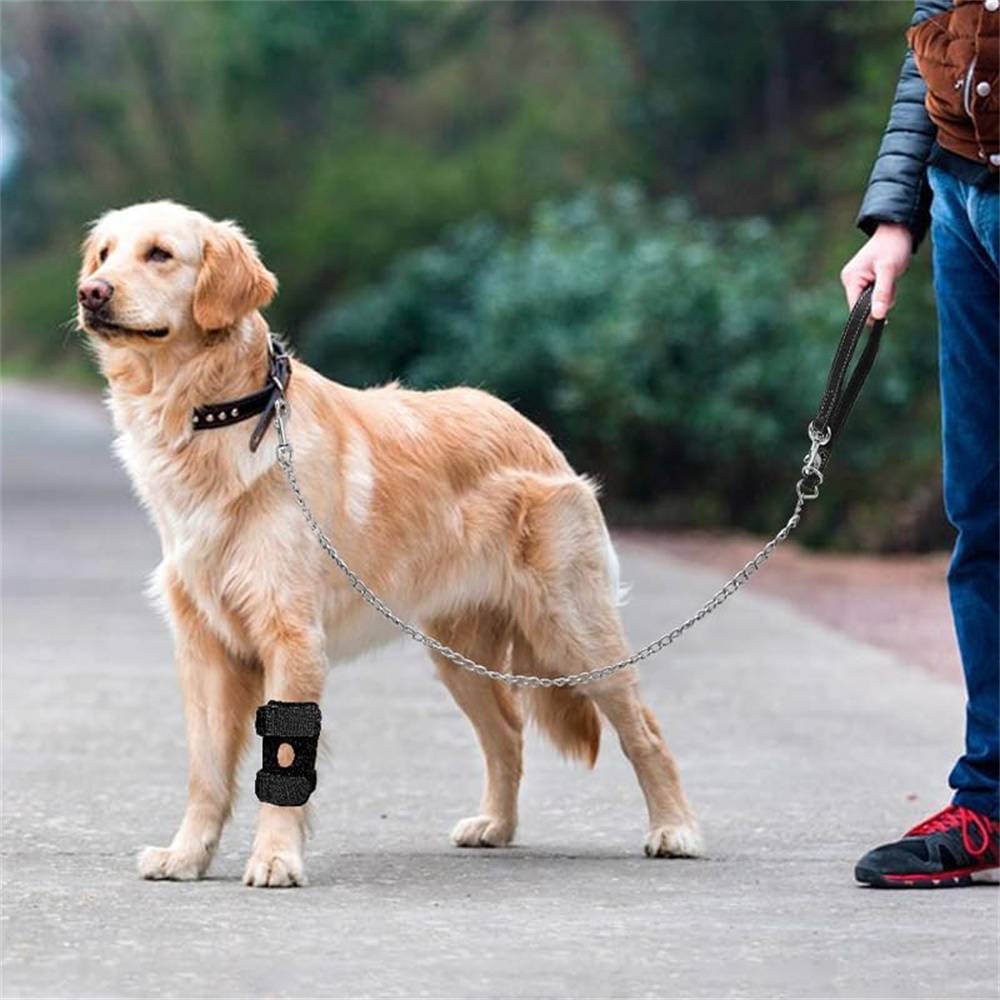 DtopbuyAge - 2 genouillères pour chien taille M DtopbuyAge - Image 3