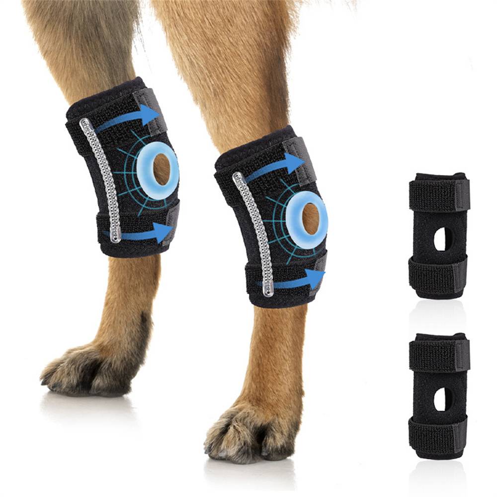 DtopbuyAge - 2 genouillères pour chien taille M DtopbuyAge - Image 1