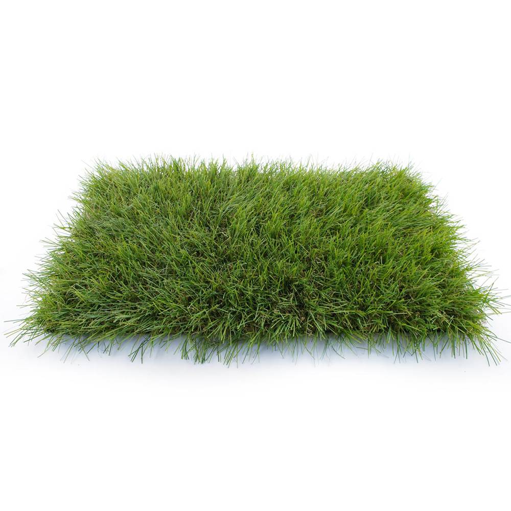 Gazon Synthétique 50 mm - 2x12,5 m (25 m²) - Image 2