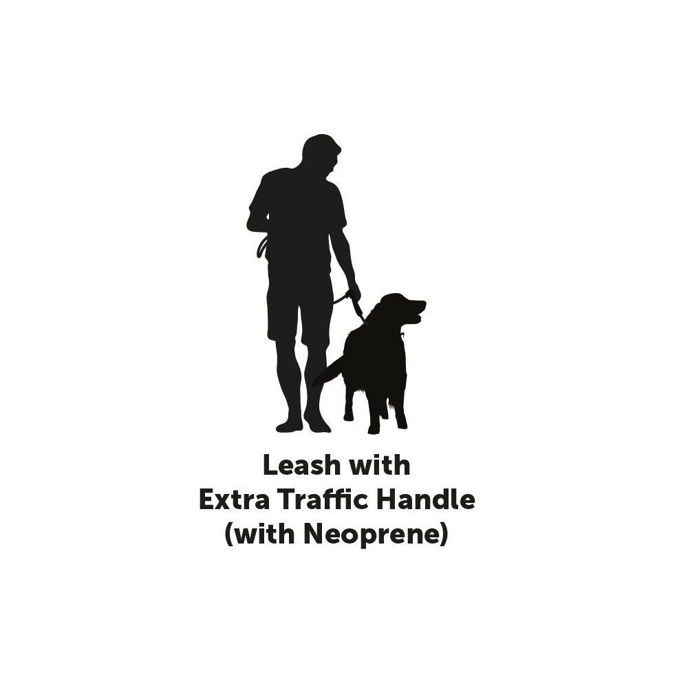 Laisse KAYGA noir avec petit rangement 1.60 m x 25 mm pour chien - Image 4