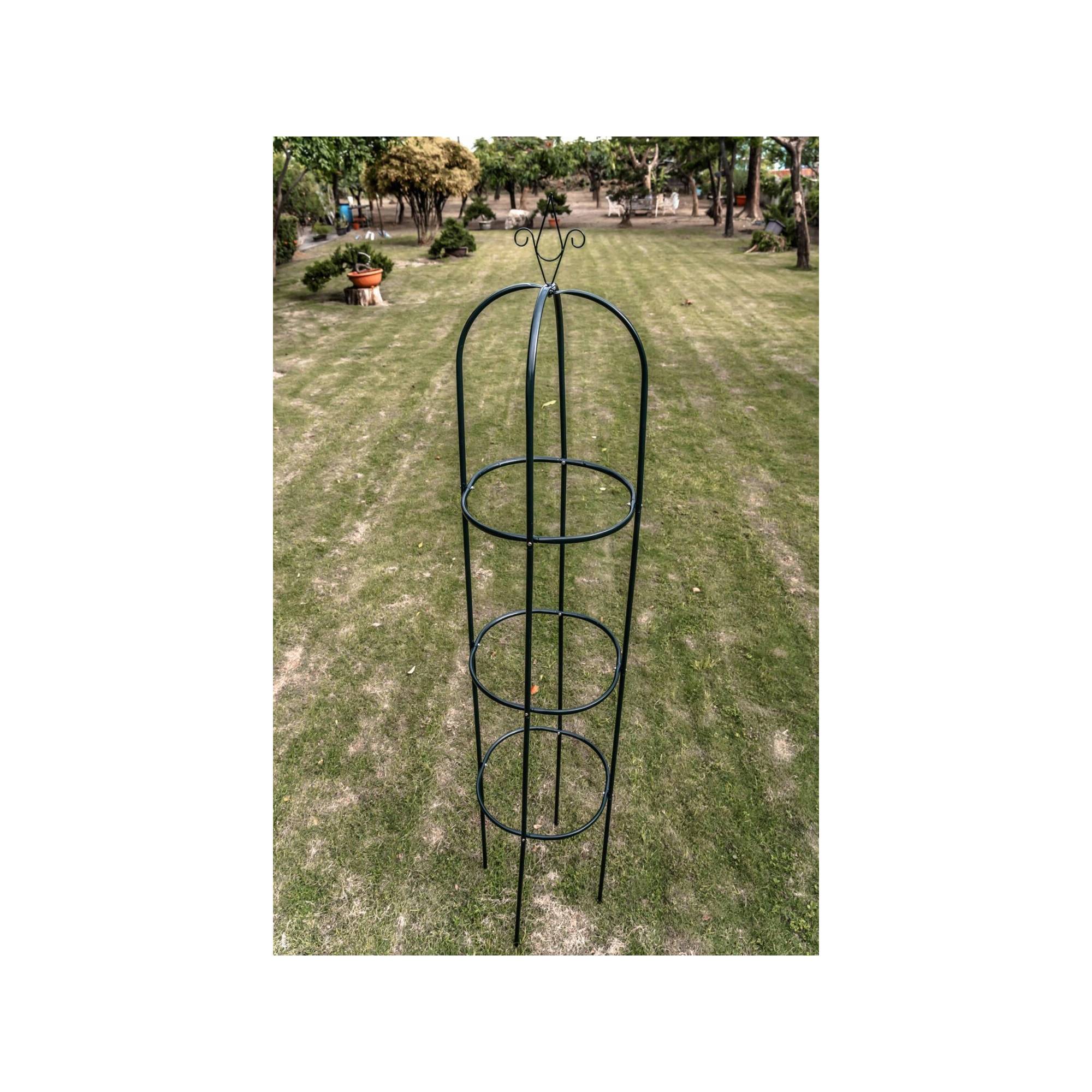 Support arceau pour plante - Suan - Accompagnement à la pousse - Dimensions : 39 x 190 cm - Image 5