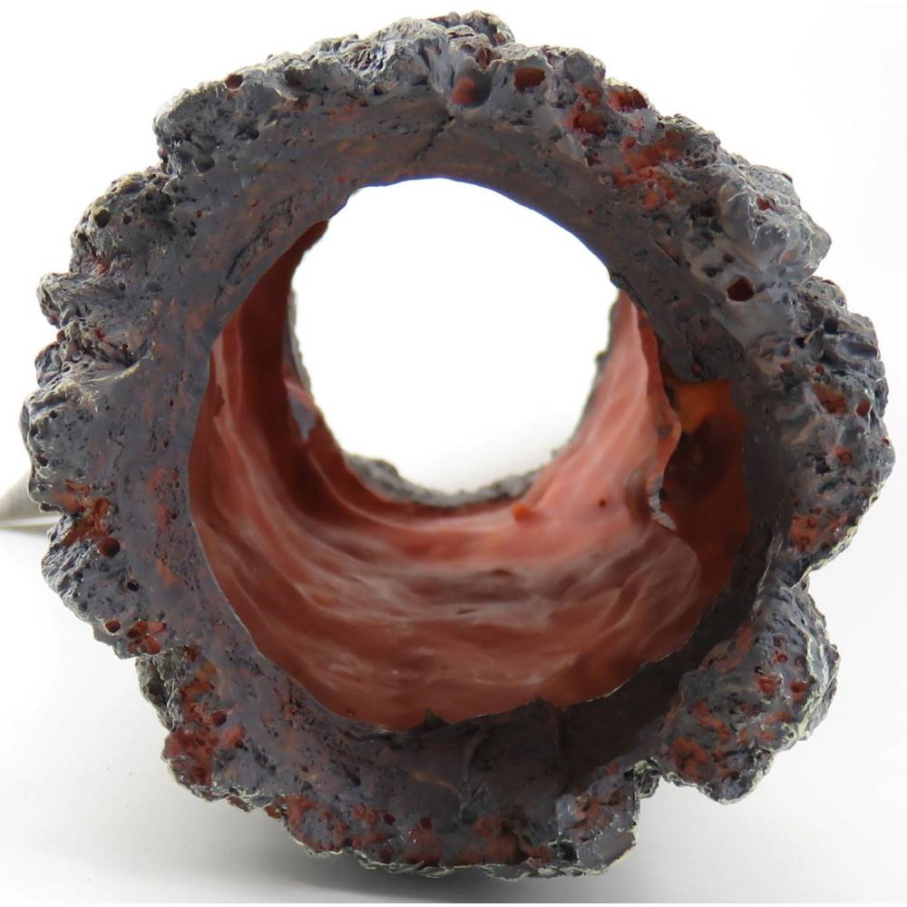 Souche tronc d'arbre creux ø 8 x 30 cm décoration aquarium - Image 2