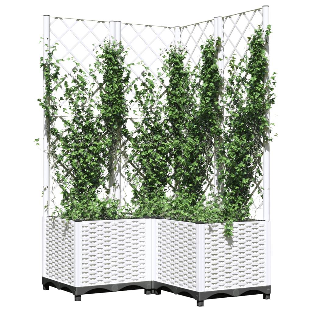 ComfortXL - Grande Jardinière avec Treillis Blanc en PP pour Brise-Vue Végétal 80x80x136cm - ComfortXL Outdoor Living - Image 3
