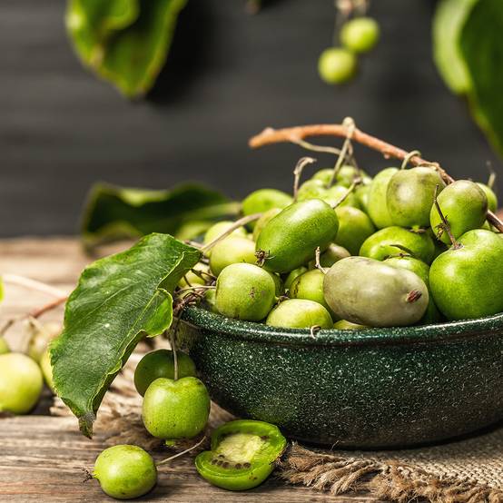 Promesse de Fleurs - Kiwi arguta Vitikiwi - Kiwaï Pot de 2L/3L