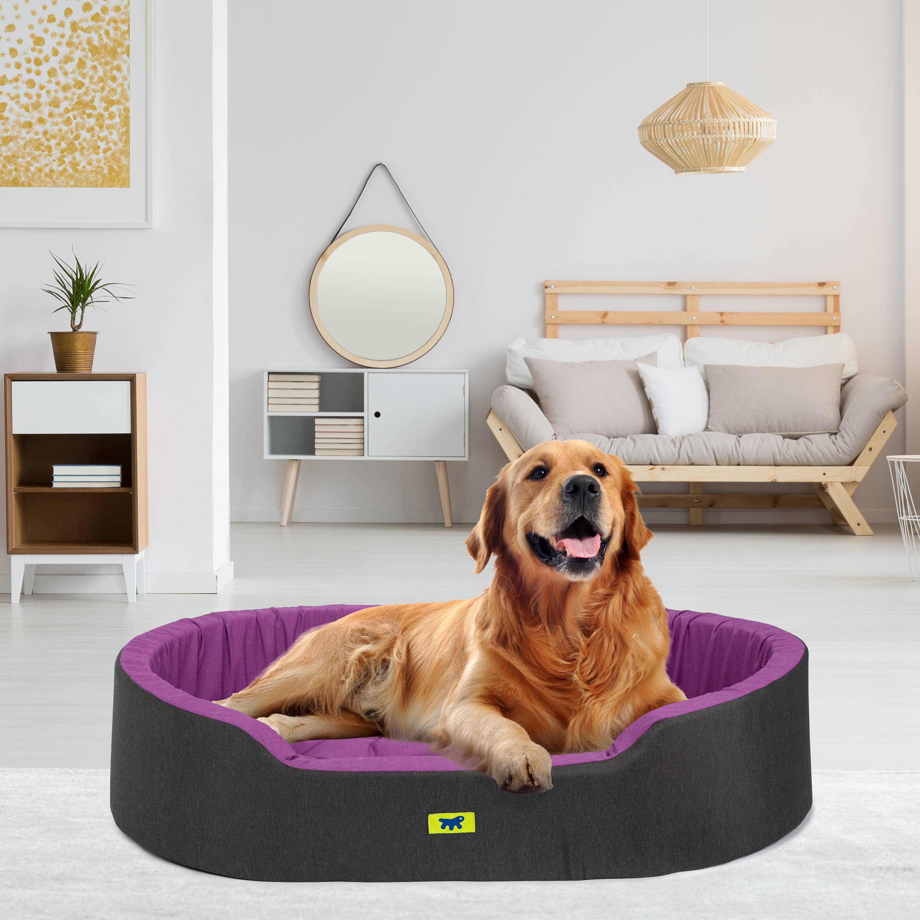 Ferplast - Ferplast Panier Chien Dandy, Coussin Amovible et Lavable, Housse en Coton avec Rembourrage Doux, Lit Chiens Moyen, 95 x 60 x H 21 cm, Violet - Image 3