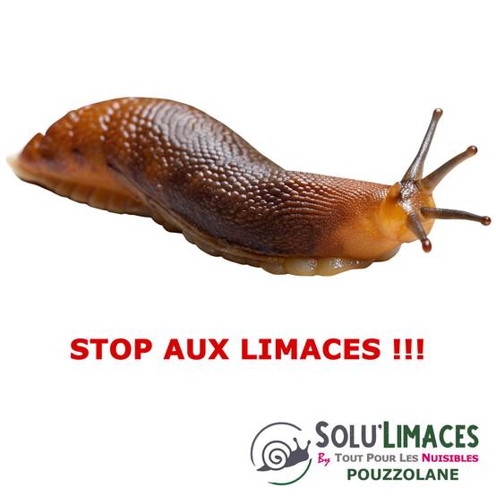 SOLU'LIMACES - POUZZOLANE 500 g - Barrière Anti Limaces, Escargots et autres gasteropodes - Image 4