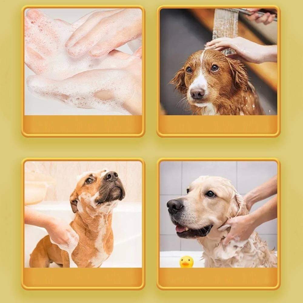 DtopbuyAge - Distributeur de shampooing pour chiens DtopbuyAge - Image 4