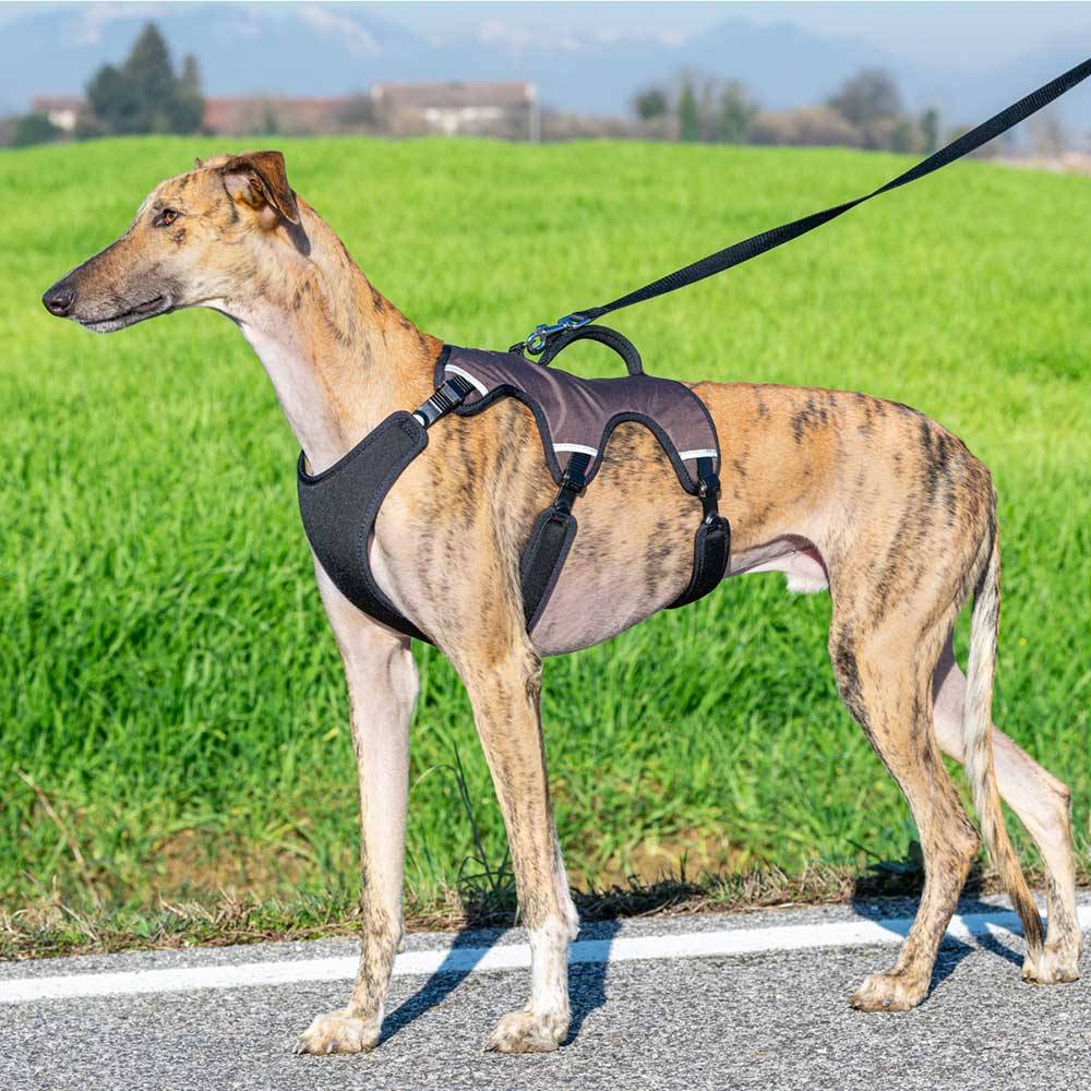Ferplast - Ferplast Harnais Chien Réglable L Poitrail 70-80 cm avec Poignée, Marron - Image 2