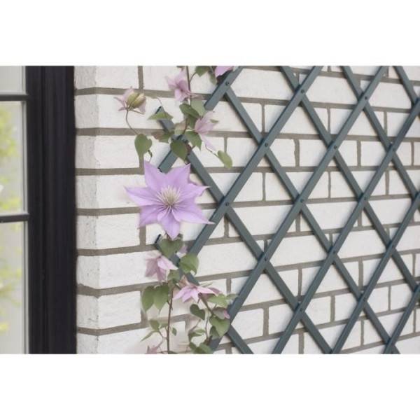 Treillis extensible - NATURE - En plastique Anthracite - 50 x 150 cm - Image 1