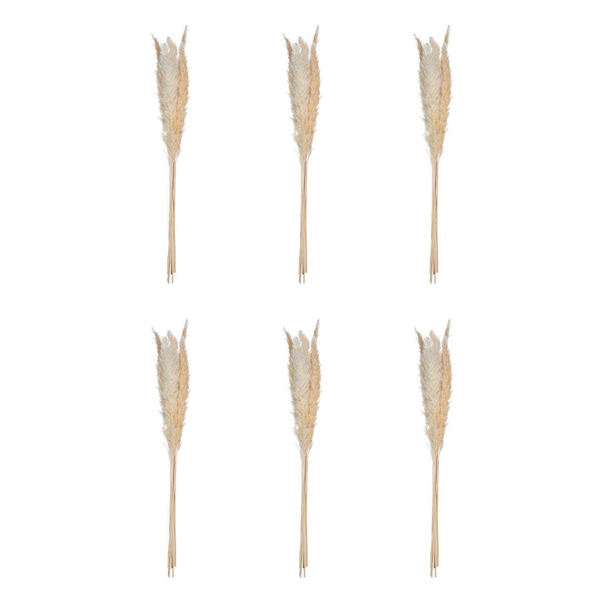 Lot de 6 Fleurs Séchées "Pampa" 66cm Naturel - Image 1