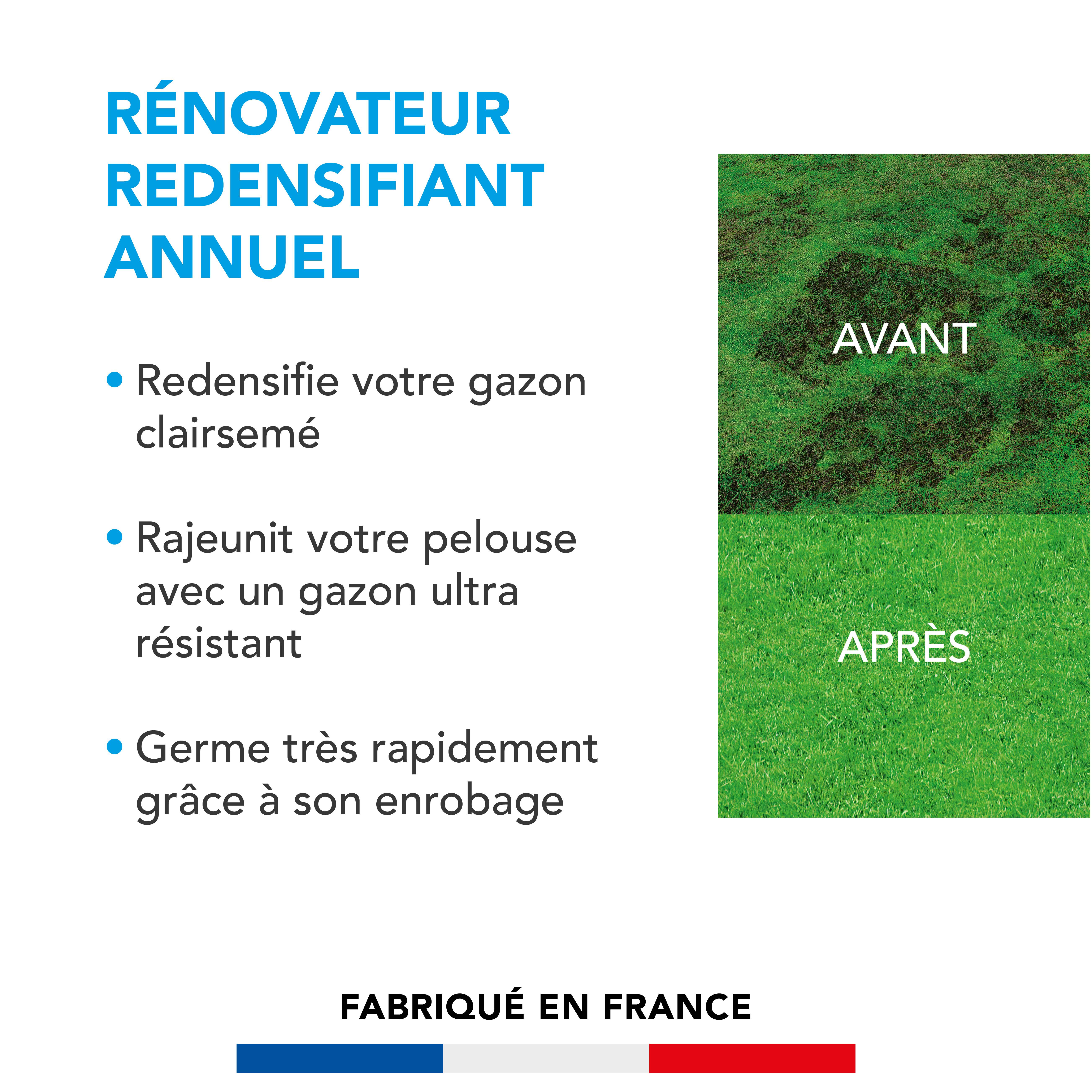 Soin Rénovateur Redensifiant - Redensifie et Rajeunit le Gazon - Germe Très Rapidement - Semences avec Enrobage - 1KG - BARENBRUG - Image 2