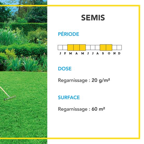 Soin Rénovateur Redensifiant - Redensifie et Rajeunit le Gazon - Germe Très Rapidement - Semences avec Enrobage - 1KG - BARENBRUG - Image 4