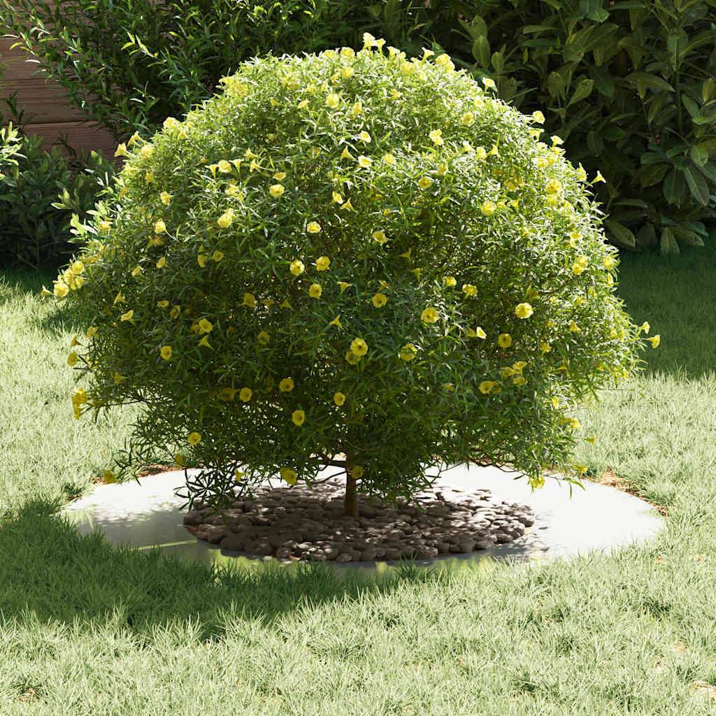 Entourage d'Arbre Plat Acier Galvanisé pour Jardin Protection Parterre Ø70 cm Gris - ComfortXL Outdoor Living - Image 3