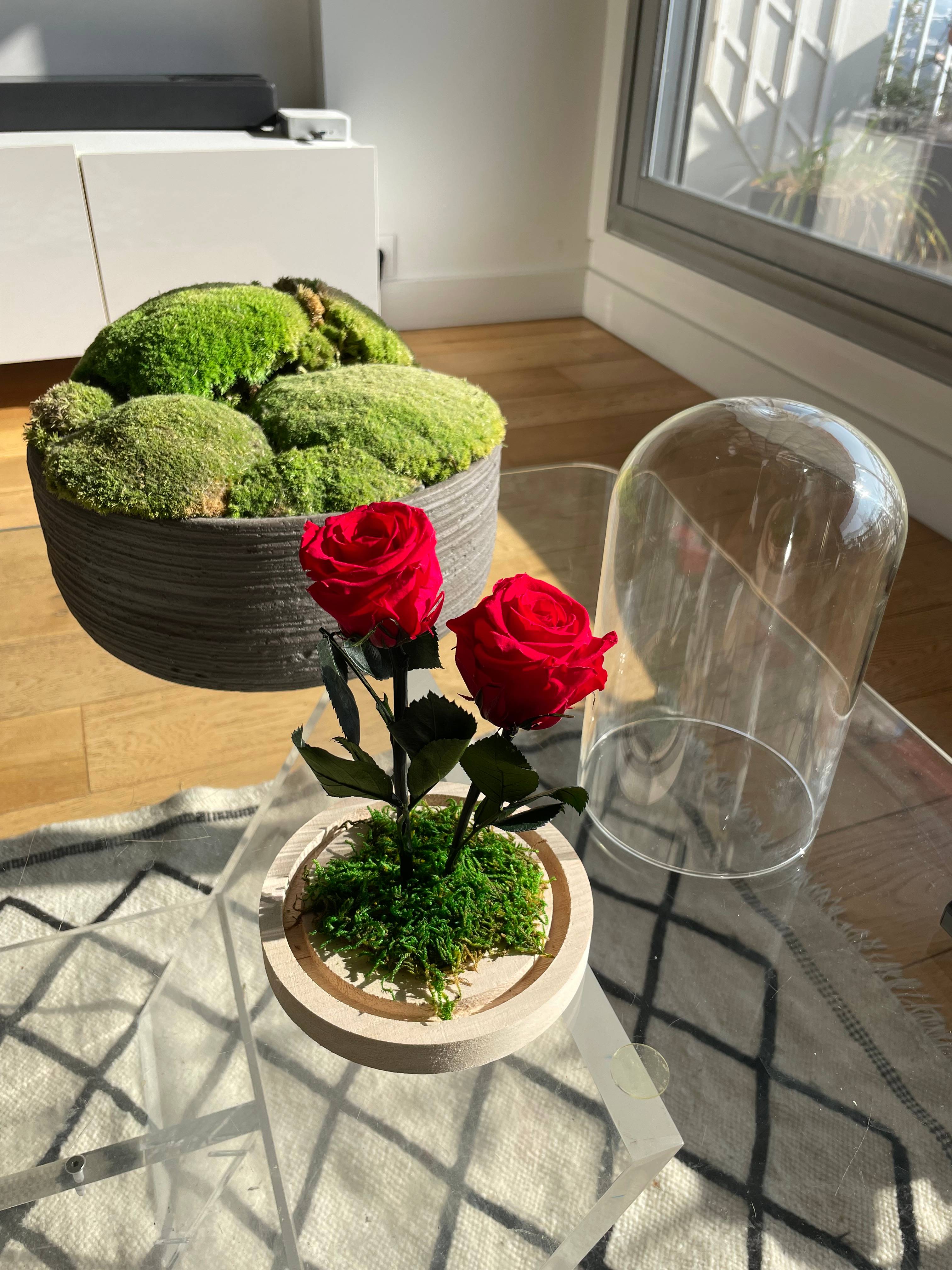 Roses Rouges Stabilisée Sous Cloche - Roses stabilisées - Décoration d'Intérieur - 20cm - Image 2