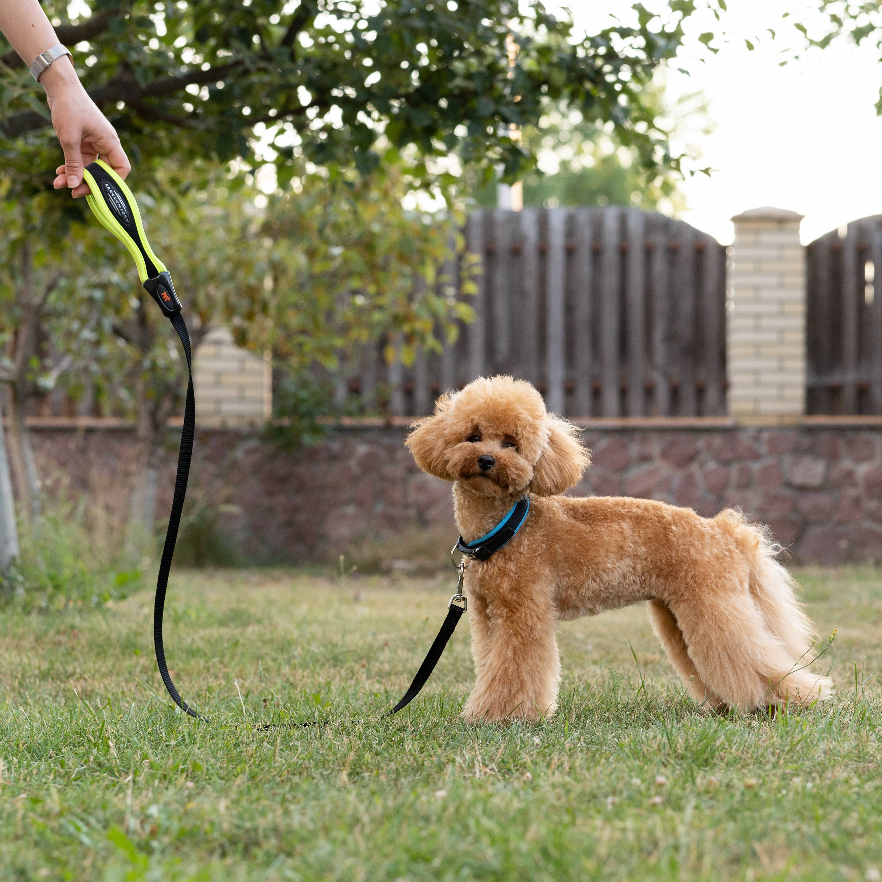 Ferplast - Ferplast laisse pour chien ERGOFLUO, laisse pour petit chien, poignée ergonomique rembourrée, nylon. Taille 120 cm, Jaune - Image 3