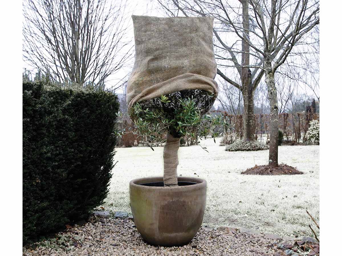 Housse d'hivernage 230 g en toile de jute, Dimensions H 1 m x Ø 0.75 m - Image 3