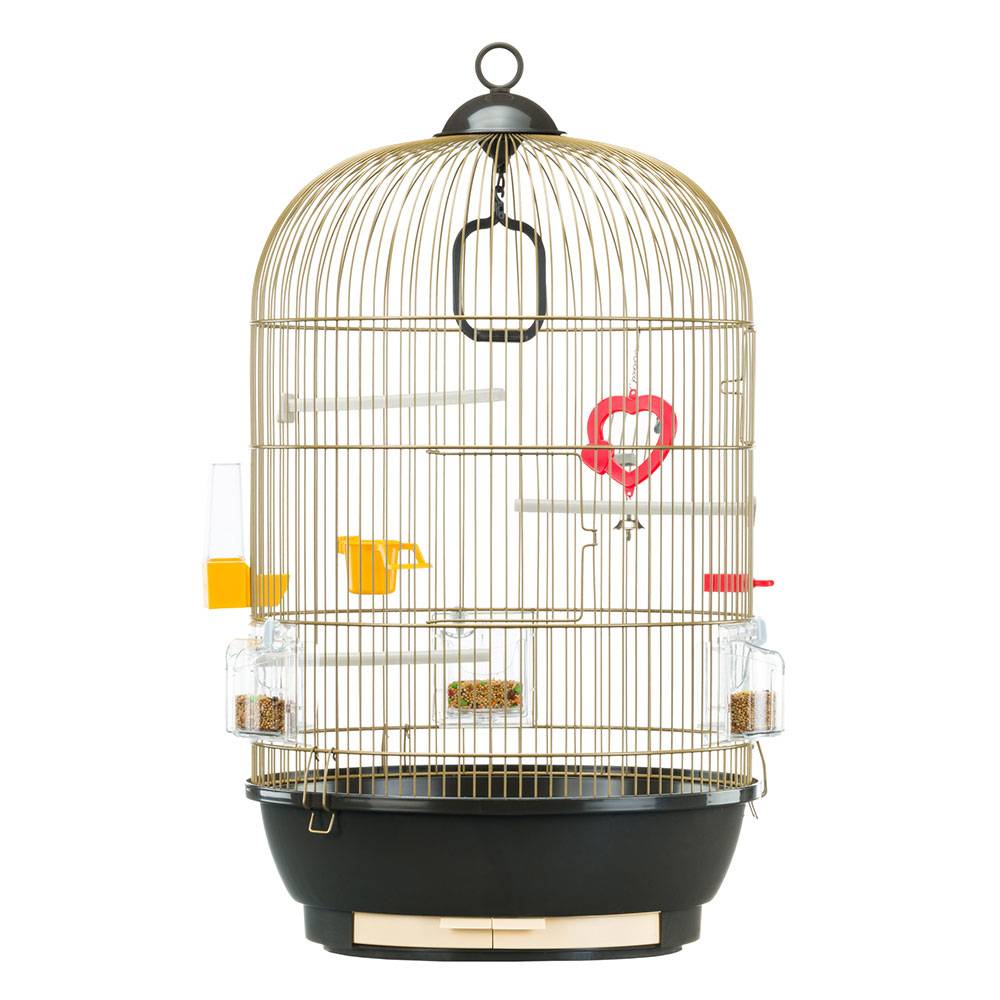 Ferplast - Ferplast Cage à Oiseaux DIVA Cage pour Oiseaux, Canaris, Pinsons, Perruches Ondulées, Inséparables, en Métal, Accessoires inclus Mangeoires rotatives - Image 1