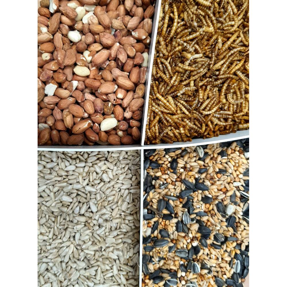 Zolux - zolux - Mix premium 4 variétés  graines et vers de farine, Seau de 2.5 kg pour oiseaux - Image 4