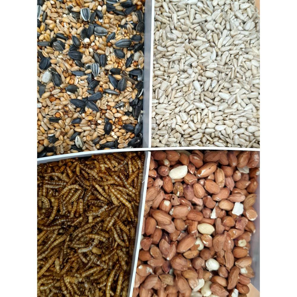 Zolux - zolux - Mix premium 4 variétés  graines et vers de farine, Seau de 2.5 kg pour oiseaux - Image 2