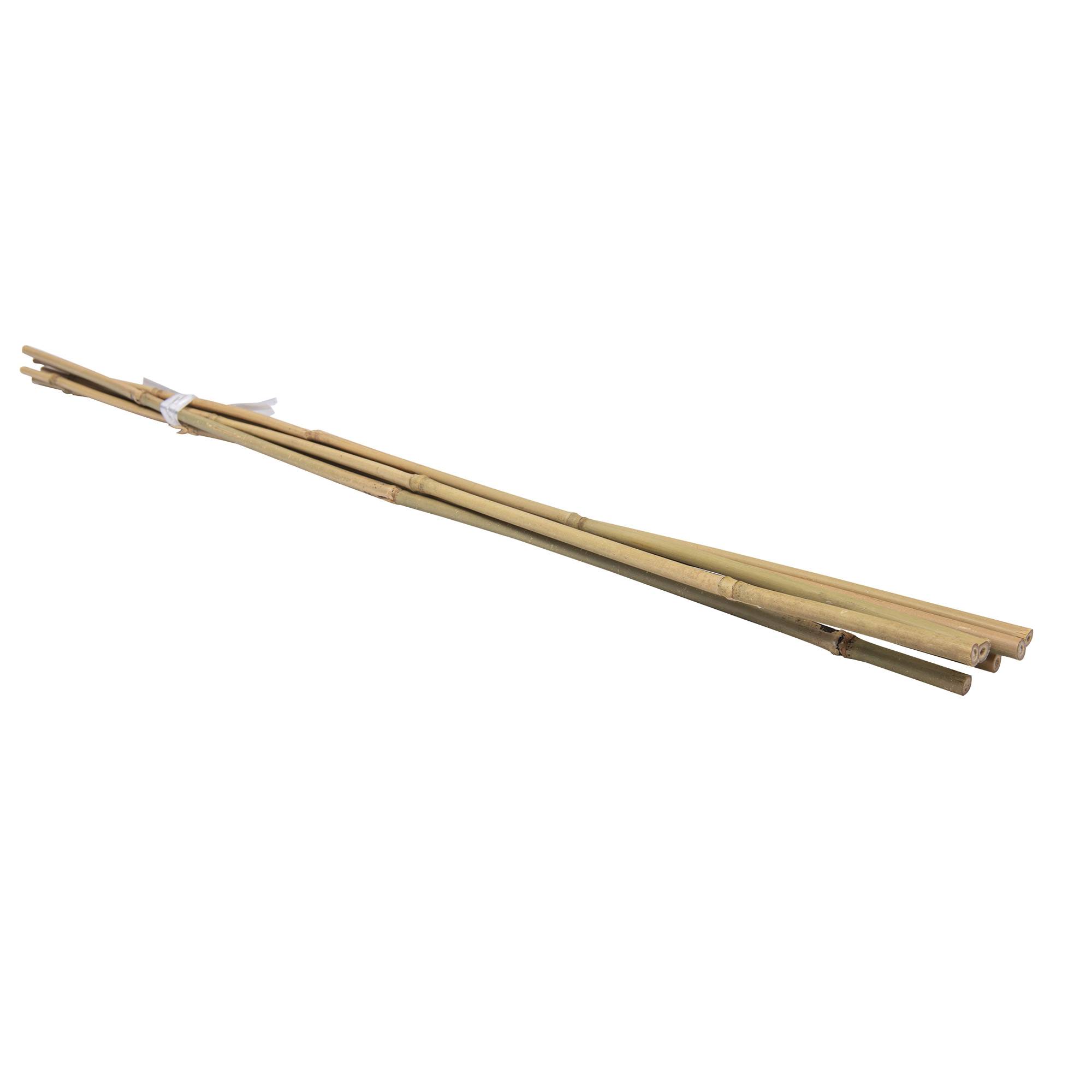 Lot de 6 tuteurs en bambou WERKA PRO - H 120cm (Ø 12-14 mm) - Image 1