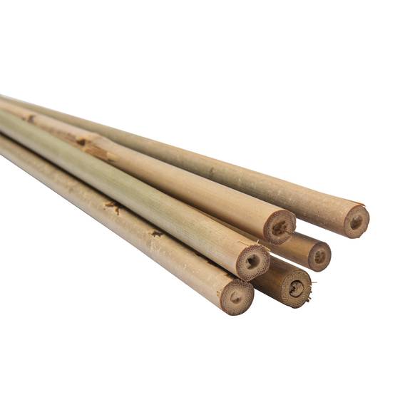 Lot de 6 tuteurs en bambou WERKA PRO - H 120cm (Ø 12-14 mm) - Image 2