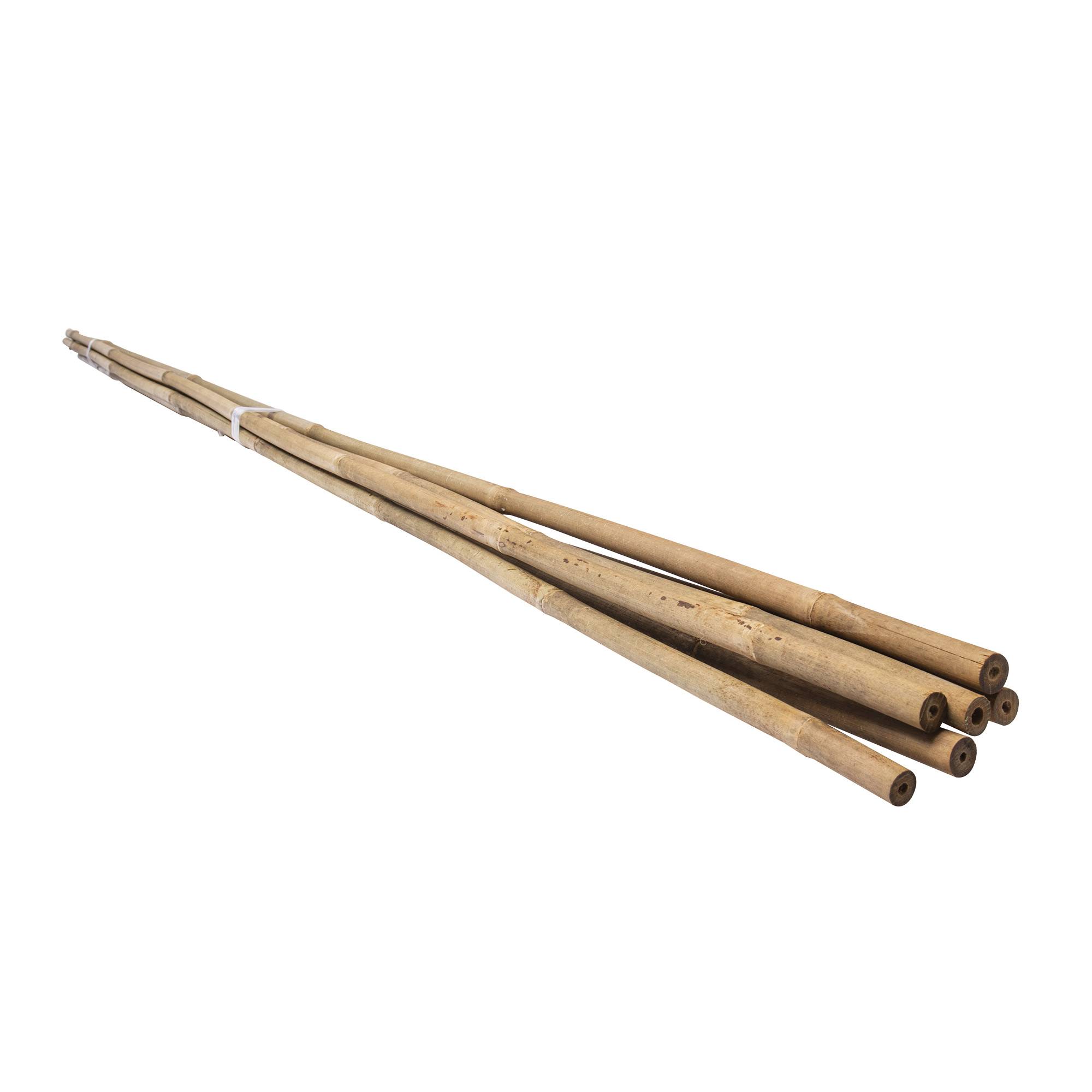 Lot de 6 tuteurs en bambou WERKA PRO - H 120cm (Ø 12-14 mm) - Image 3