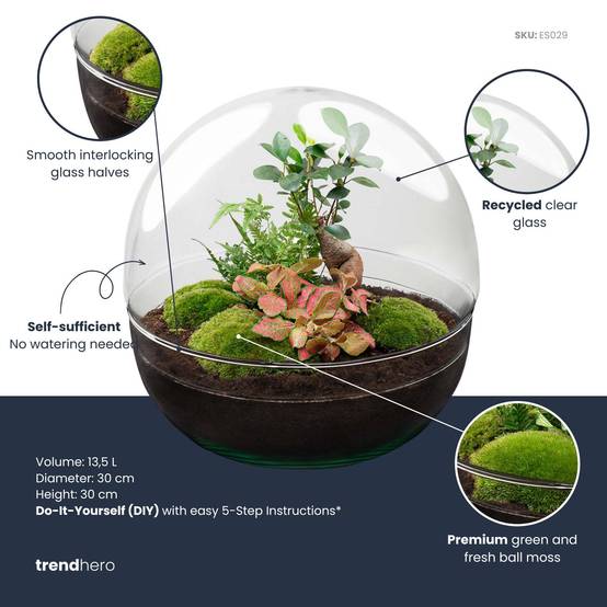 Terrarium à composer boule en verre recyclé - Ø30-H30cm - sans outils - Ficus Ginseng - Terrarium DIY - Image 2