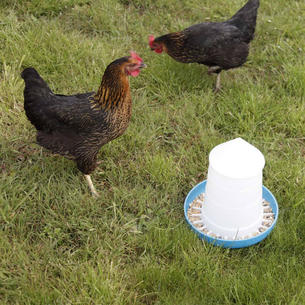 Chick'a - Nourrisseur Mountain conique bleu 8 kg - Image 3