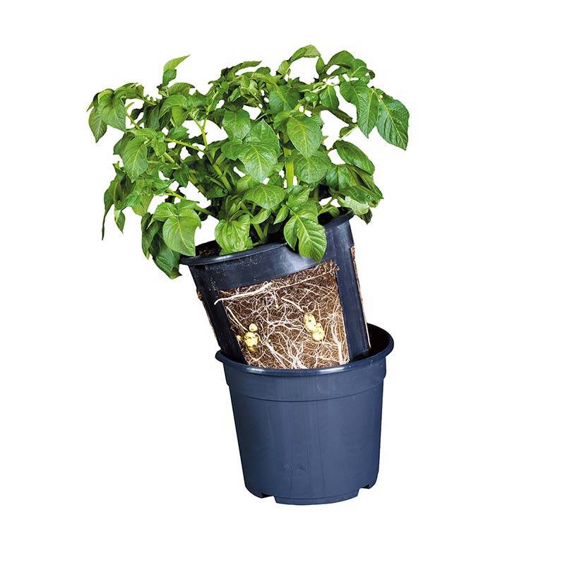 Esschert Design - Pot de culture Pommes de terre 30 cm - Esschert Design