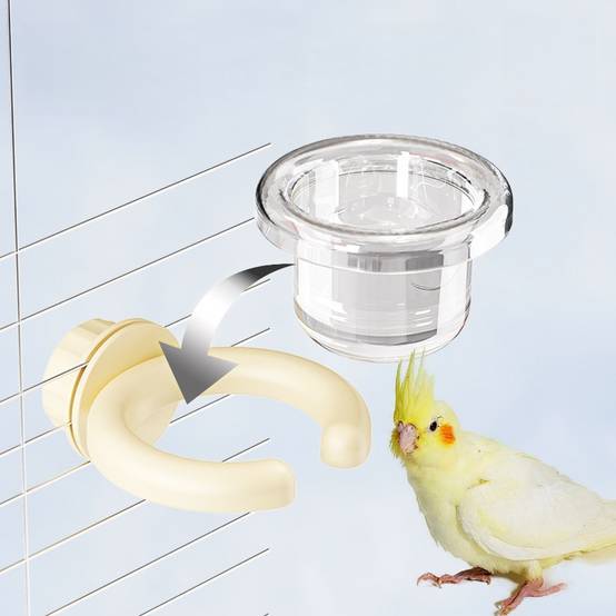 Bol à fixer pour petits perroquets DtopbuyAge - Image 5